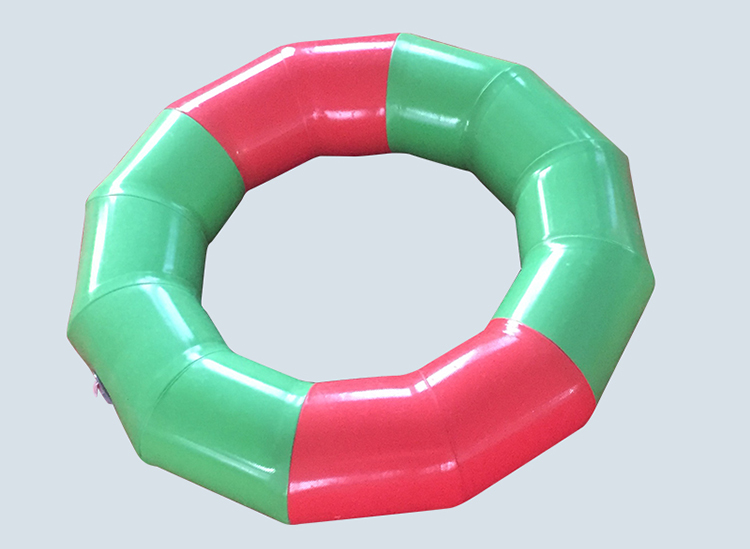 Swimming ring.jpg